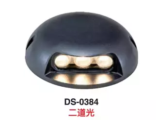 DS－0384